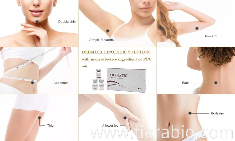 Dermeca Solucion Lipolitica Mesoterapia Coctel Solucion Inyeccion De Celulitis 5ml